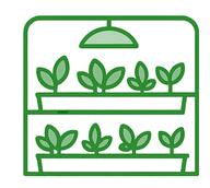 Indoor NFT Hydroponics System