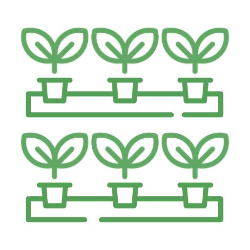 Indoor NFT Hydroponics