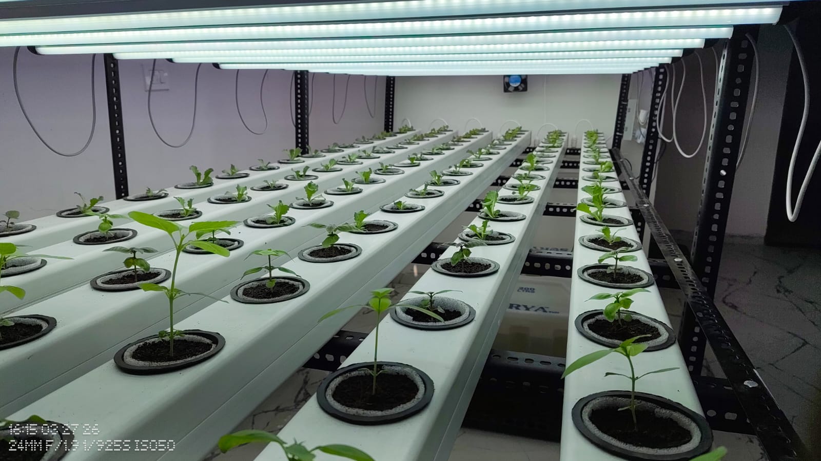 Students group photo during hydroponics training session