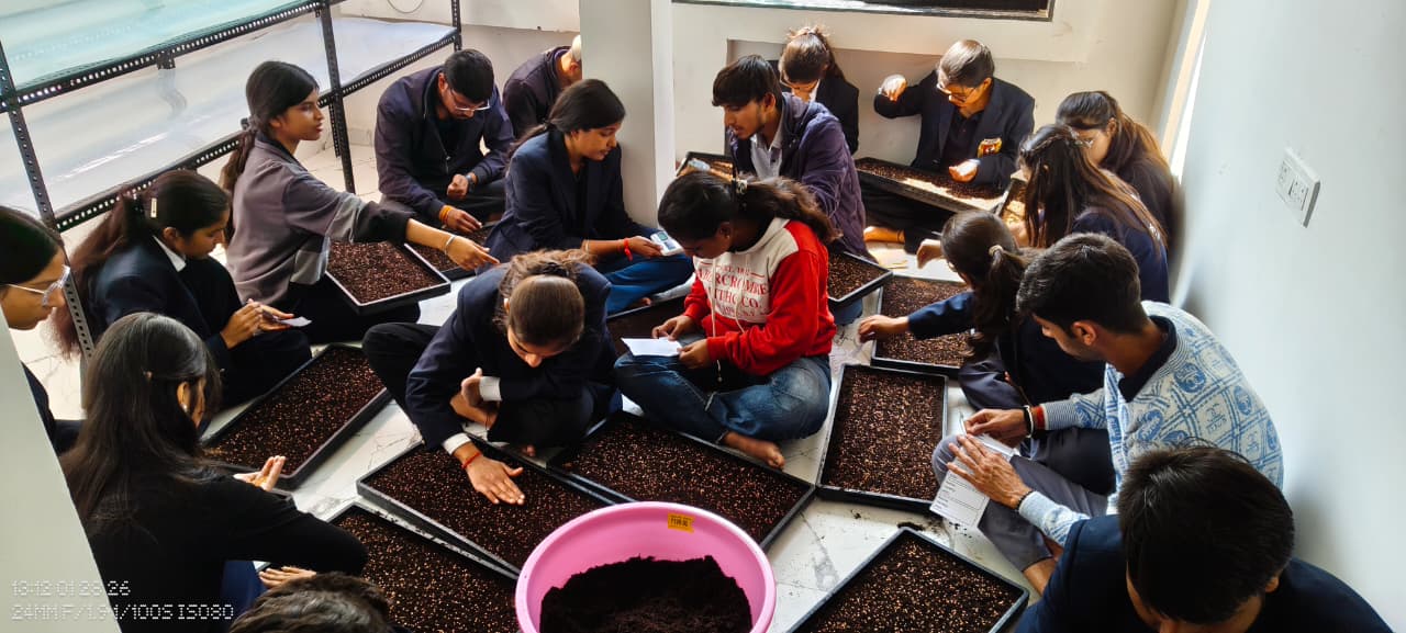 Microgreens trays growing under indoor lighting system